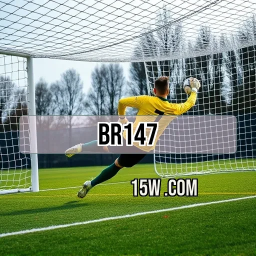 br147.com Quebra-cabeça